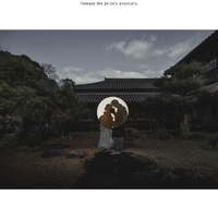 画像484